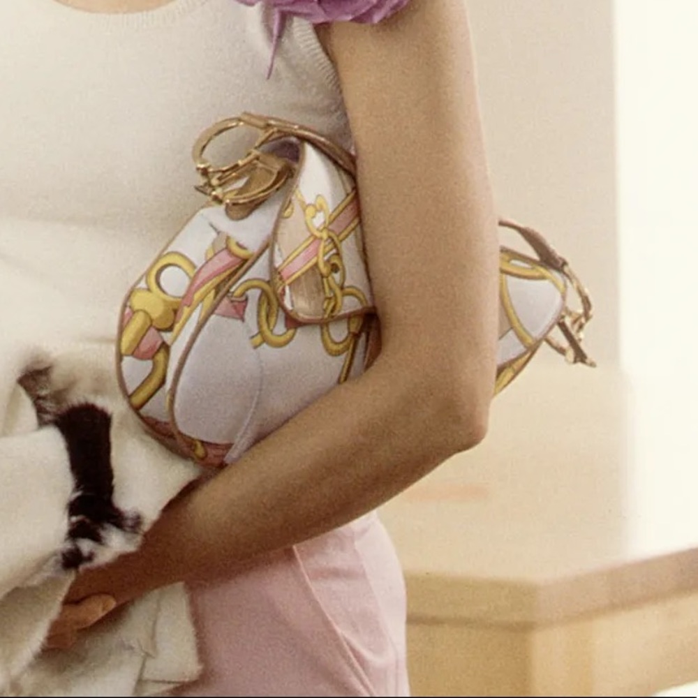 ISO Authentic Dior saddle from SATC.